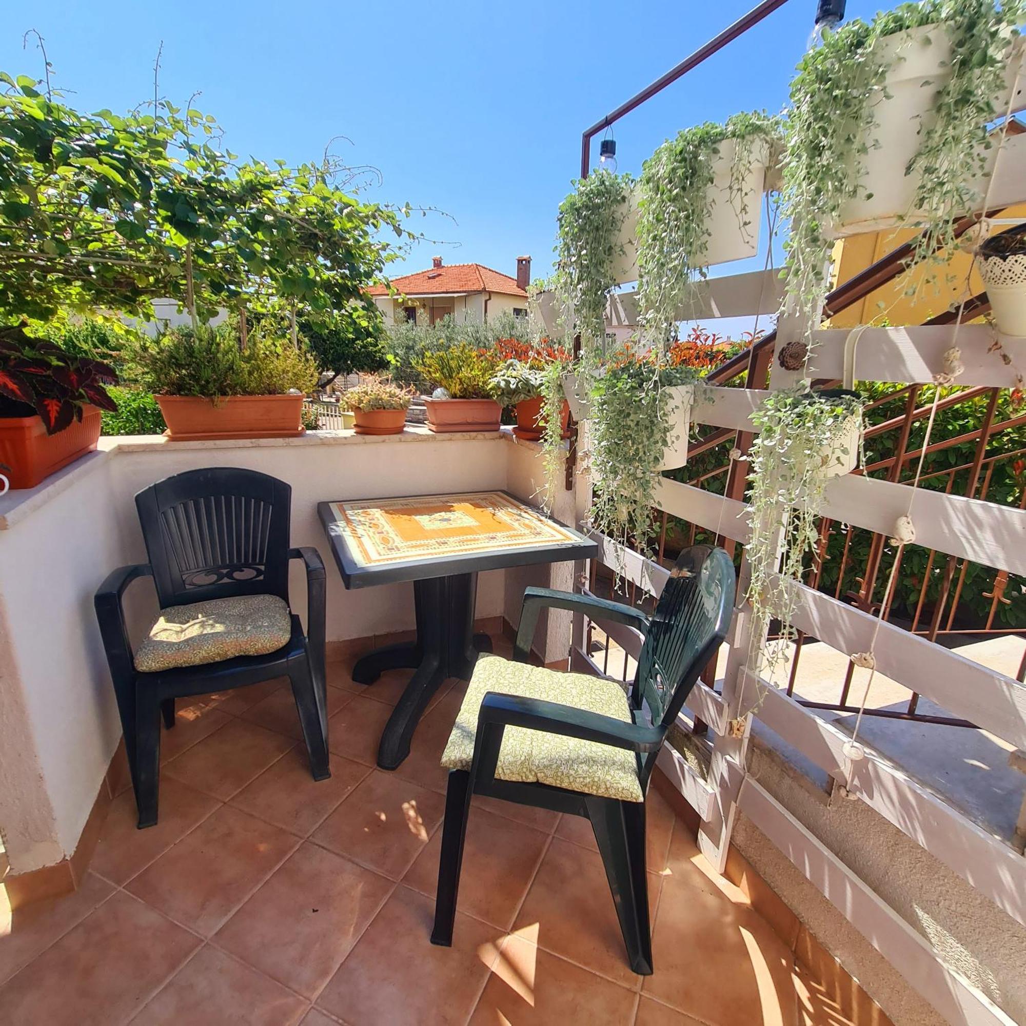 Apartments Ada Rovinj Dış mekan fotoğraf