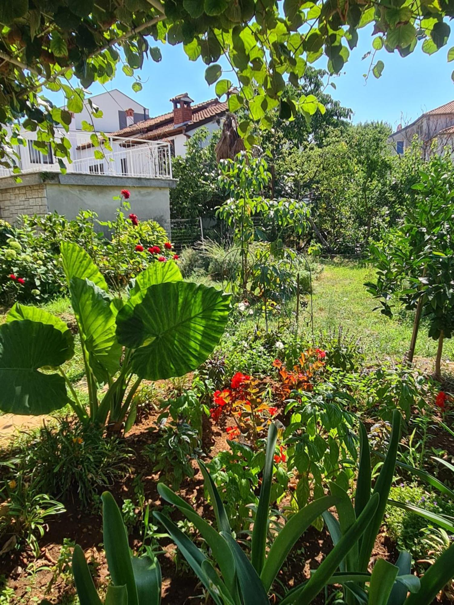 Apartments Ada Rovinj Dış mekan fotoğraf